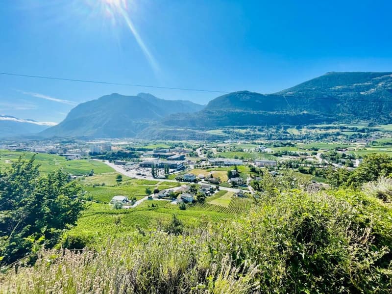 Attique 2.5 pièces à Corin-de-la-Crête (16)