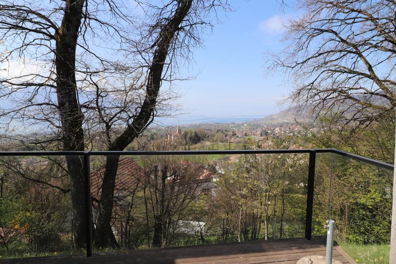 Vue Ouest depuis séjour