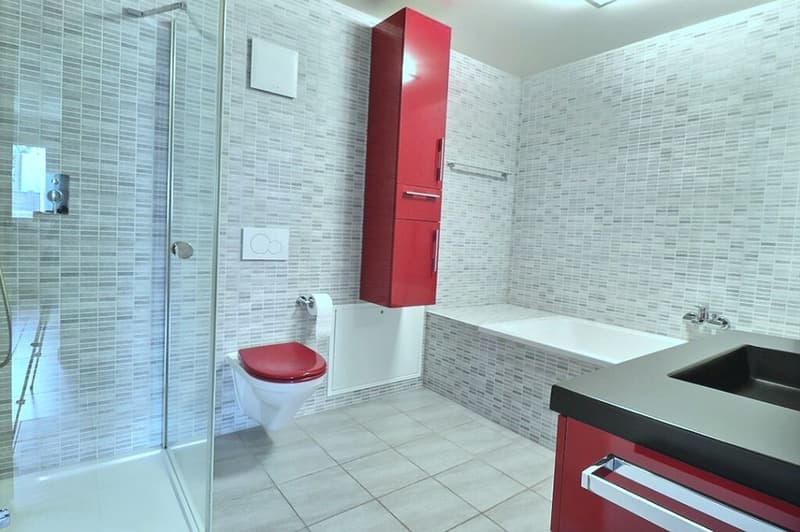 A découvrir à deux pas de l'arrêt du LEB! Grand appartement récent, finitions de qualité, deux terrasses, deux places de parc intérieures. (6)