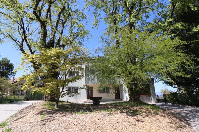 A 9 minutes d'Echallens, rare et exceptionnelle maison d'architecte, style Le Corbusier, entièrement rénovée, grands volumes, magnifique parc (8)