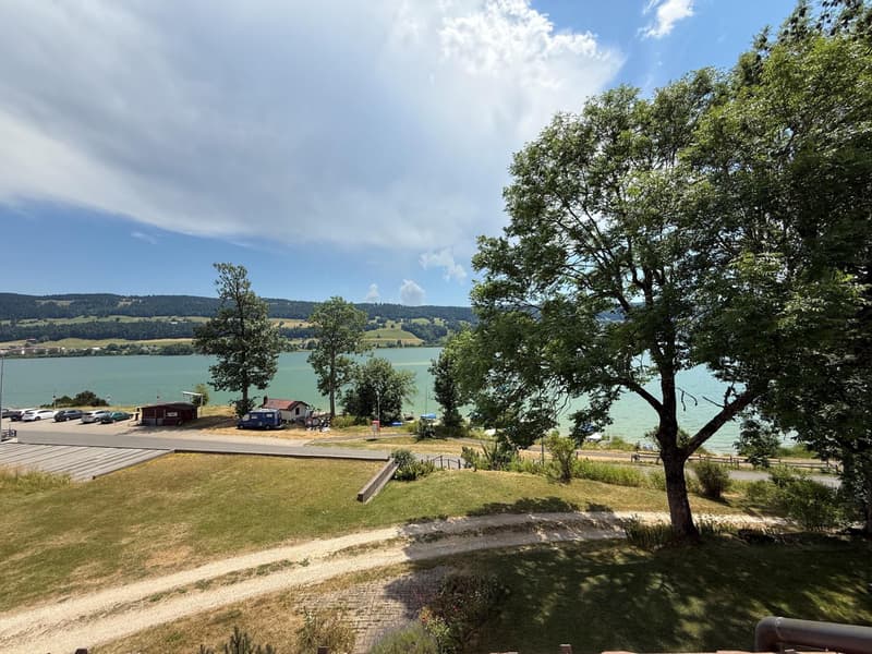 Propriété de rendement bénéficiant d'une vue imprenable sur le lac de Joux avec potentiel de développement (10)