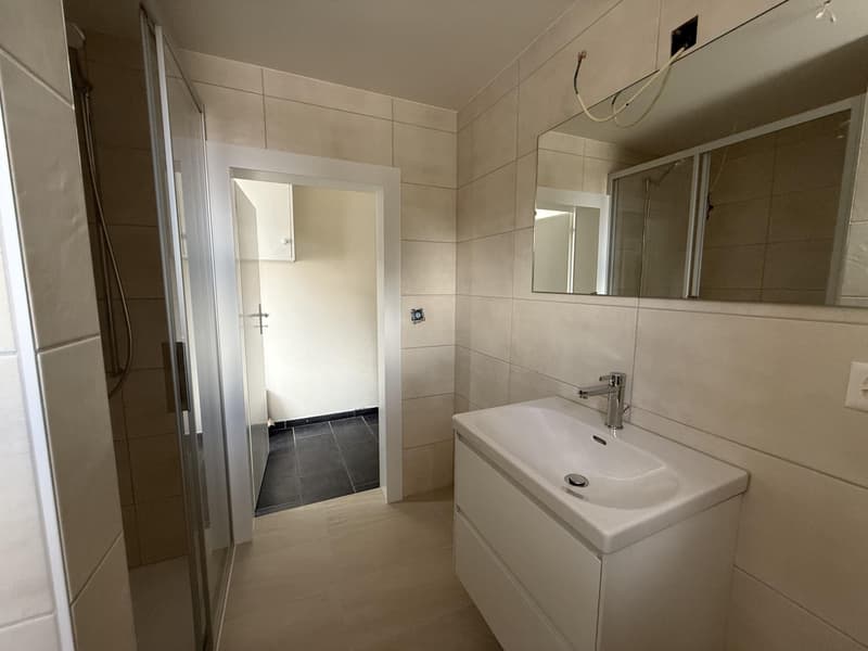 Un bien rare au coeur du Brassus, réunissant habitation et local commercial, avec un beau potentiel d'investissement (11)
