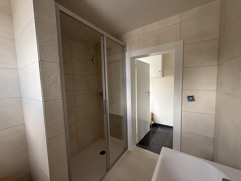 Un bien rare au coeur du Brassus, réunissant habitation et local commercial, avec un beau potentiel d'investissement (10)