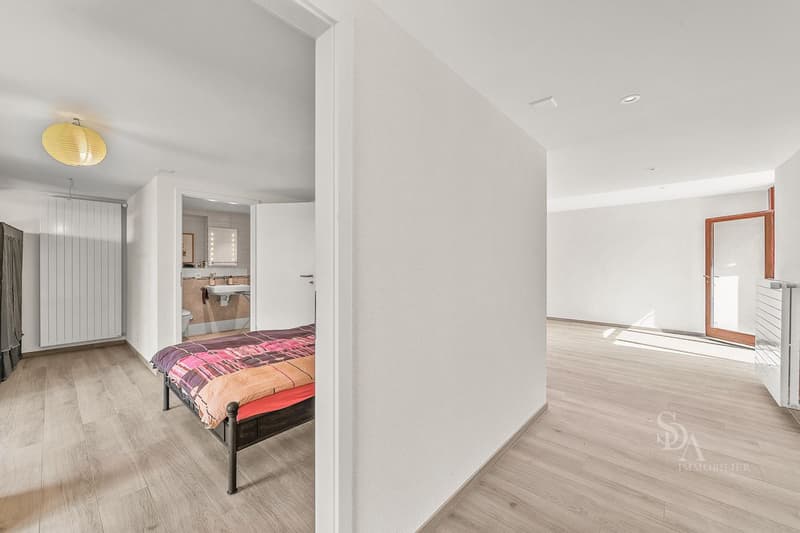 Appartemement spacieux avec grande terrasses (11)