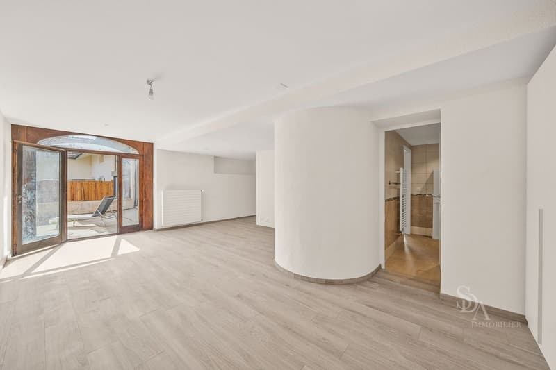 Appartemement spacieux avec grande terrasses (5)