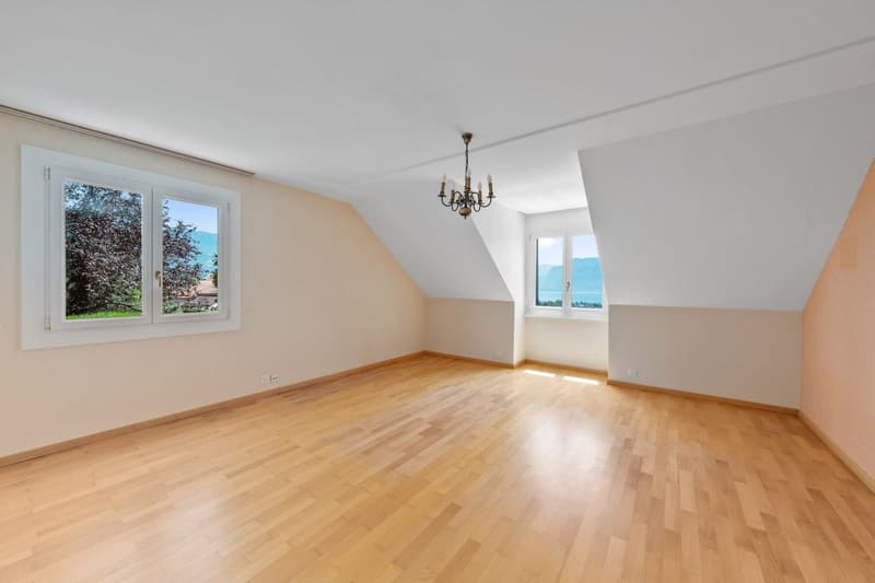 Villa d'exception, vue époustouflante sur le lac et les Alpes, situation idéale ! (8)