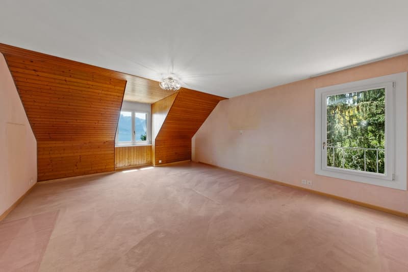 Villa d'exception, vue époustouflante sur le lac et les Alpes, situation idéale ! (9)