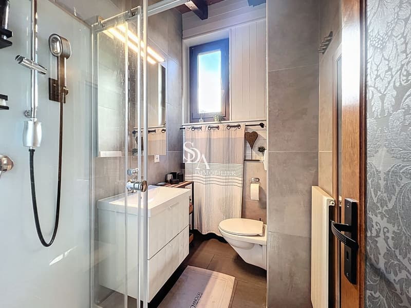 Sublime et spacieux duplex (12)