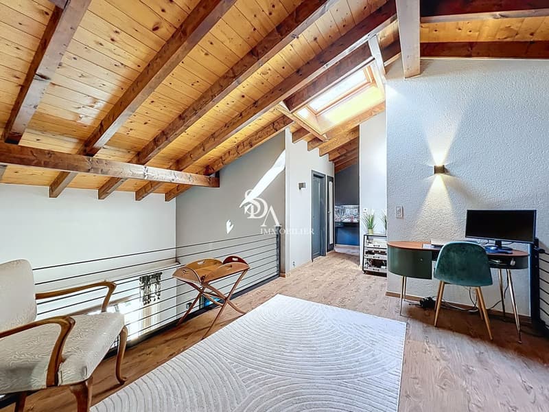 Sublime et spacieux duplex (10)