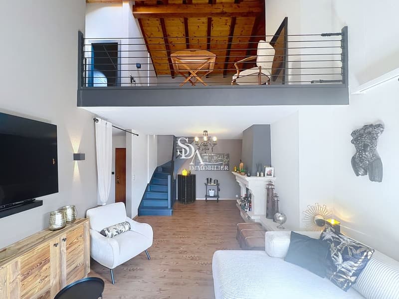 Sublime et spacieux duplex (2)