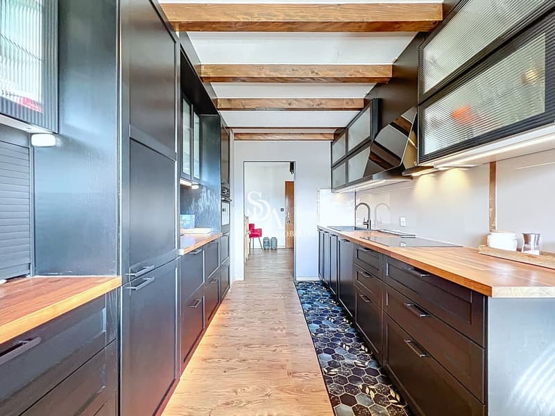 Sublime et spacieux duplex (6)