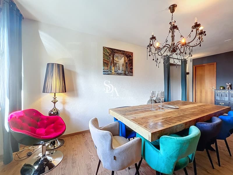 Sublime et spacieux duplex (8)