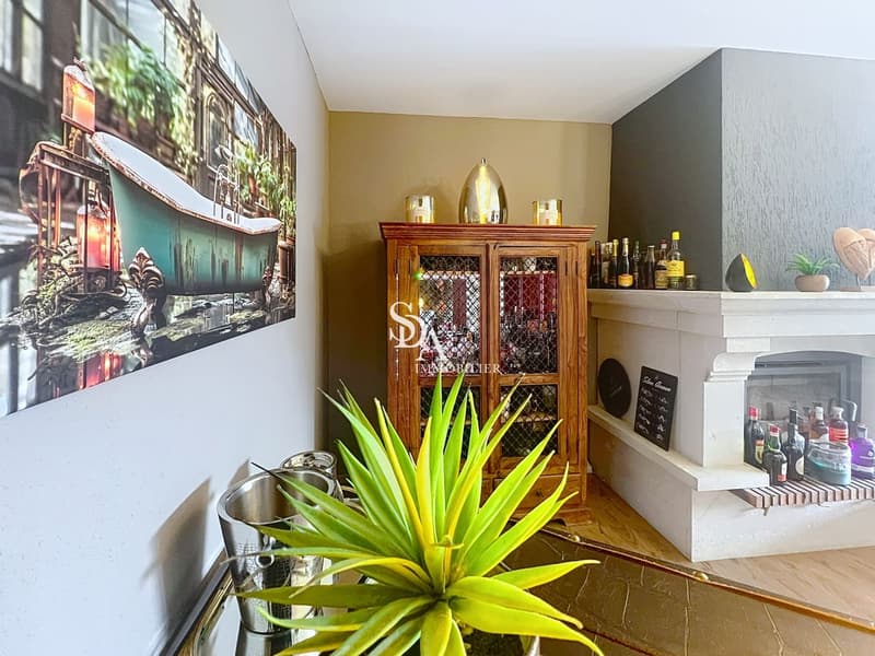 Sublime et spacieux duplex (4)