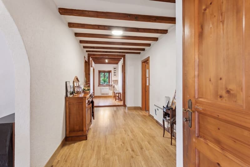 Mézières - Maison à deux logements, cachet et tranquillité (6)