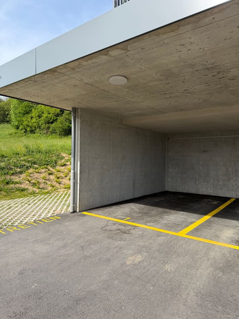 Magnifique 3.5 pièces à Bussigny (9)
