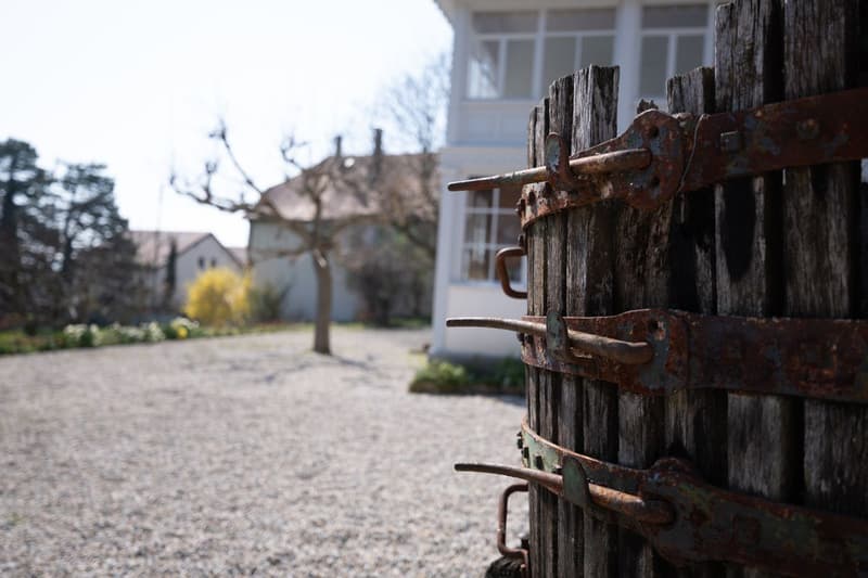 La Demeure au Marronnier - Une propriété d'exception au coeur du vignoble vaudois (13)