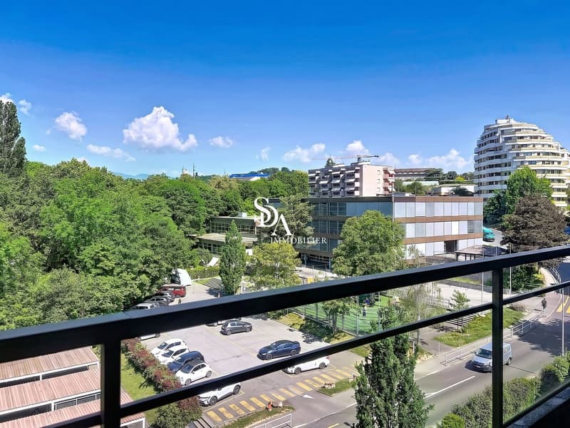 Beau 3 pièces à Morges totalement rénové (7)