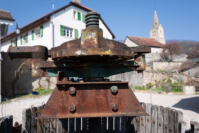 La Demeure au Marronnier - Une propriété d'exception au coeur du vignoble vaudois (1)