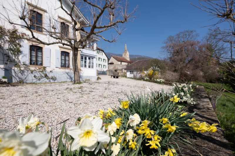 La Demeure au Marronnier - Une propriété d'exception au coeur du vignoble vaudois (2)