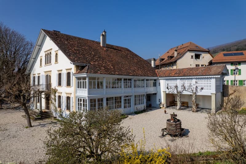 La Demeure au Marronnier - Une propriété d'exception au coeur du vignoble vaudois (6)