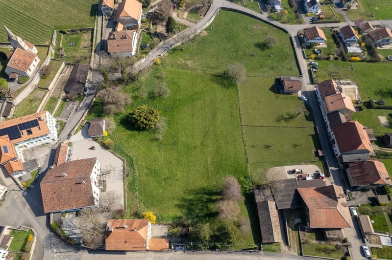 La Demeure au Marronnier - Une propriété d'exception au coeur du vignoble vaudois (9)