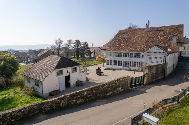 La Demeure au Marronnier - Une propriété d'exception au coeur du vignoble vaudois (8)