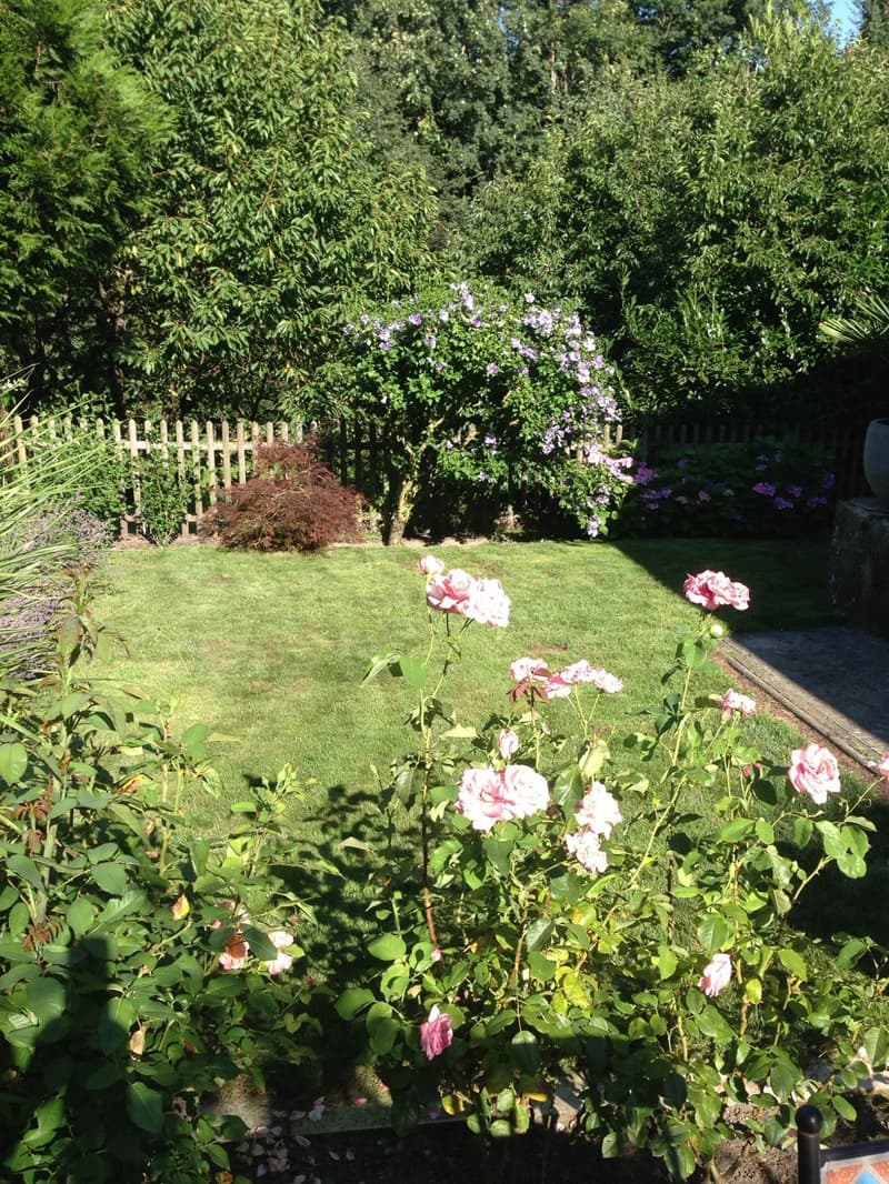 Opportunité rare : maison au centre du bourg de Cossonay avec jardin (6)