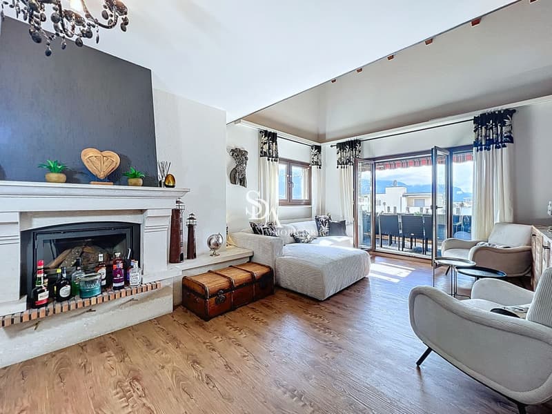 Sublime et spacieux duplex (1)