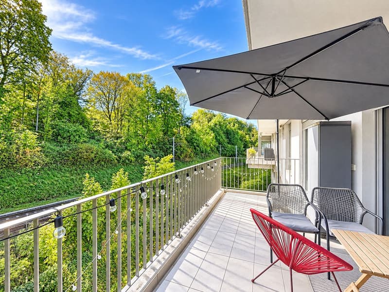 À Vevey, le plaisir de vivre avec la verdure pour horizon (1)