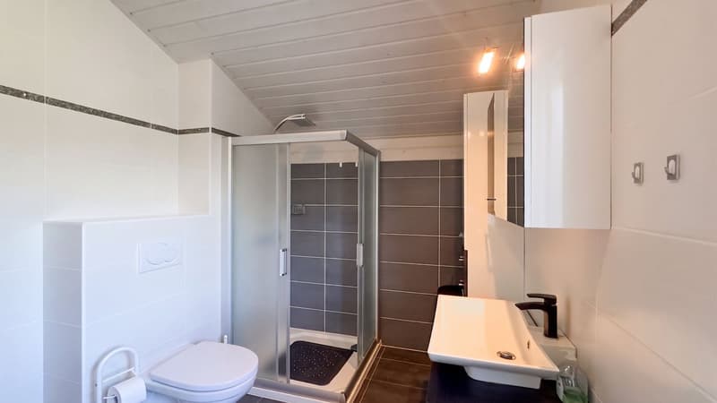 Salle d'eau avec baignoire douche et wc
