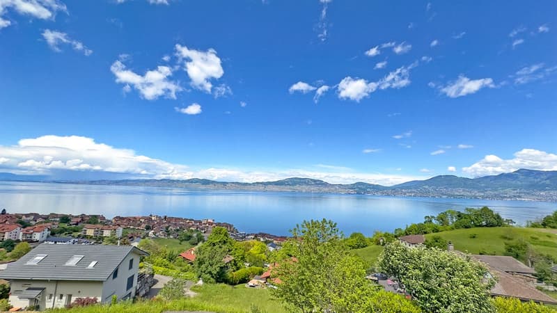 Vue sur le Lac à 180° spectaculaire !
