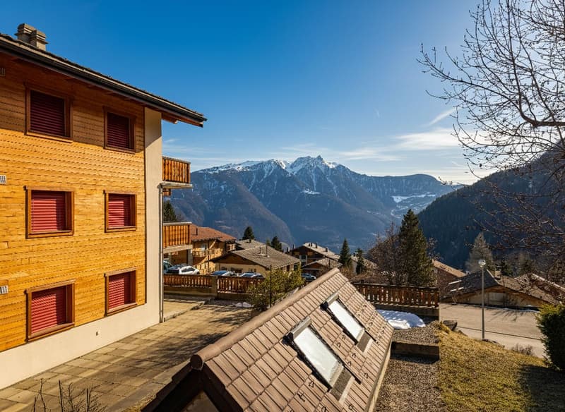 Vue sur Montagnes