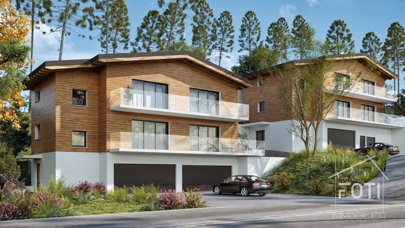Projet de 2 chalets