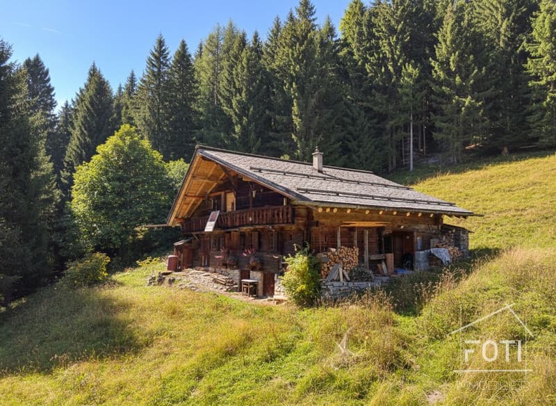 Chalet Exterieur
