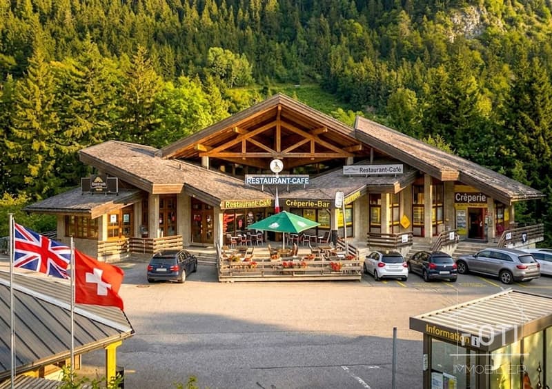 Local commercial déjà loué - Idéal pour investisseur. (2)