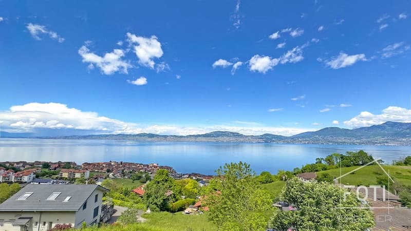 Villa d'architecte avec vue imprenable le Lac Léman (4)