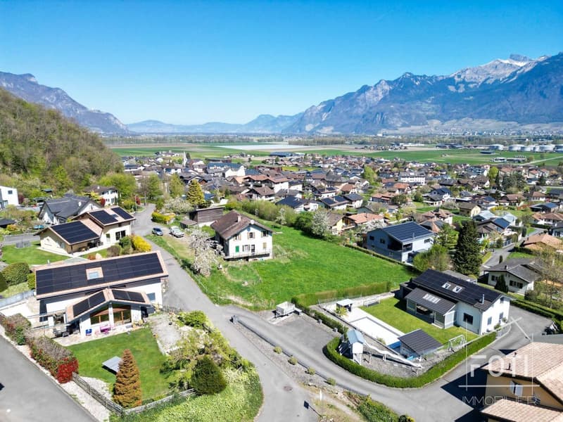 Vue panoramique sur les Dents-du-Midi