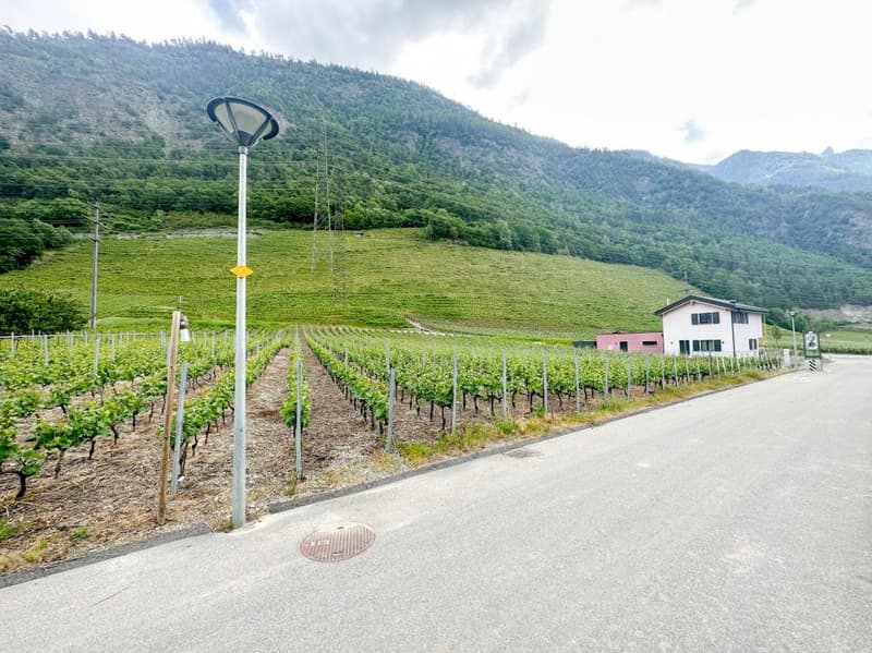 Terrain à Riddes avec vue imprenable | homegate.ch