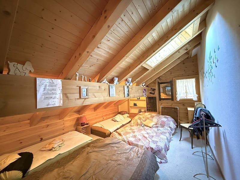 Chalet de 4,5 pièces avec  5245m2 de terrain (18)