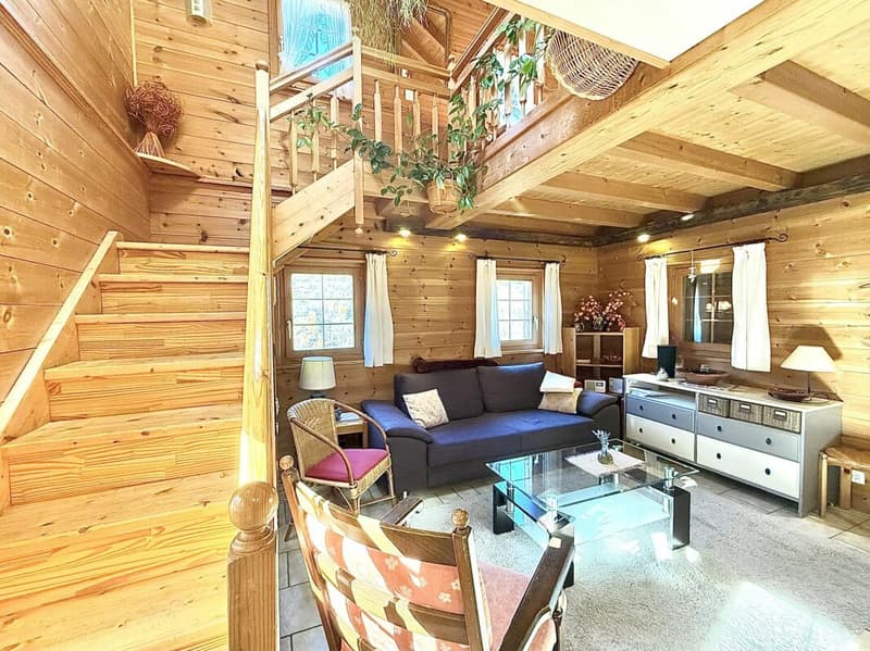 Chalet de 4,5 pièces avec  5245m2 de terrain (12)