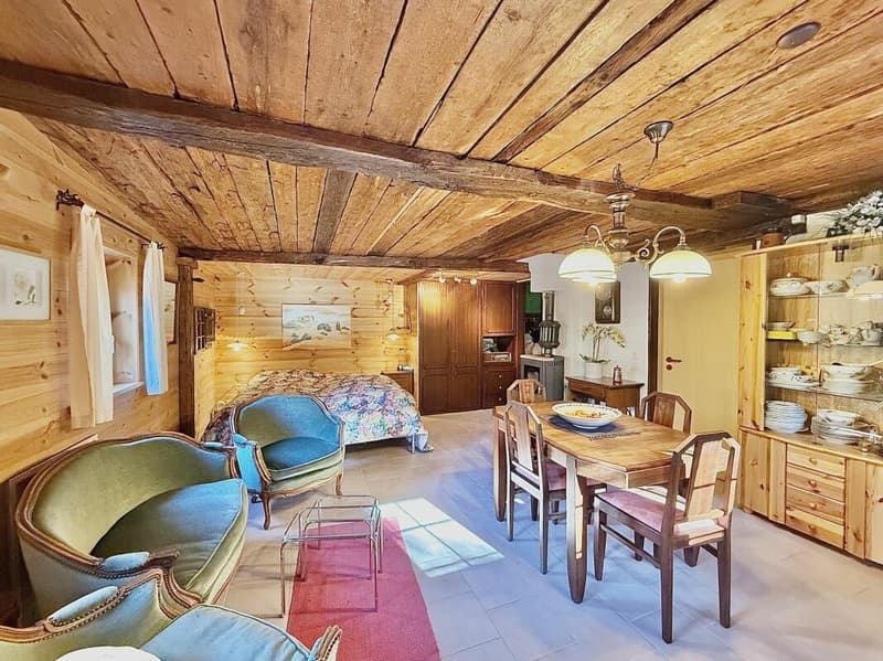 Chalet de 4,5 pièces avec  5245m2 de terrain (7)