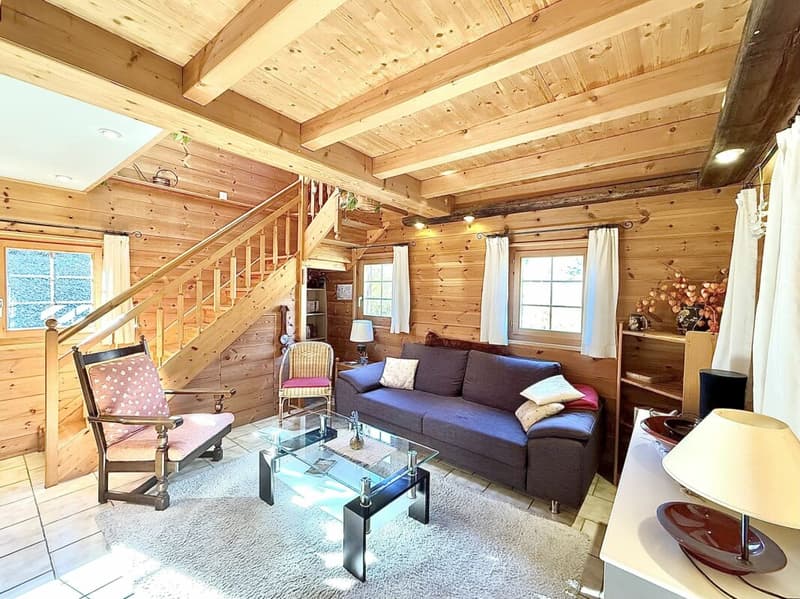 Chalet de 4,5 pièces avec  5245m2 de terrain (11)