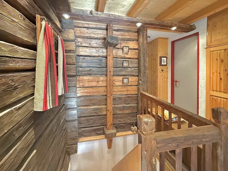 Chalet de 4,5 pièces avec  5245m2 de terrain (22)