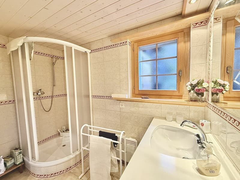 Chalet de 4,5 pièces avec  5245m2 de terrain (24)