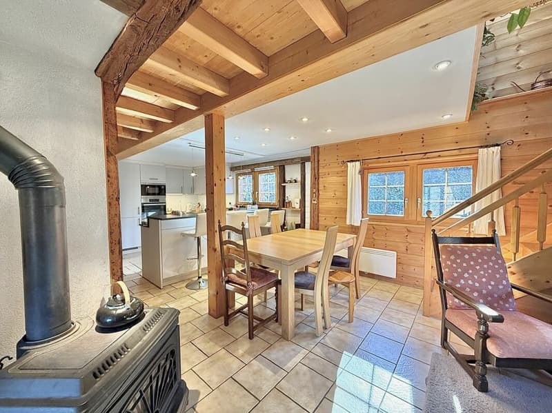 Chalet de 4,5 pièces avec  5245m2 de terrain (5)