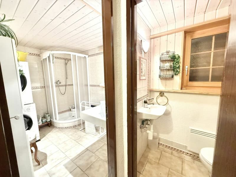 Chalet de 4,5 pièces avec  5245m2 de terrain (20)