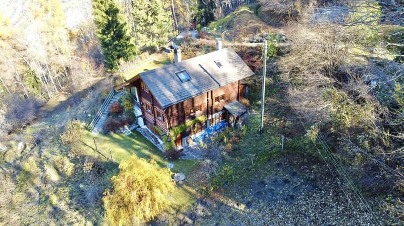 Chalet de 4,5 pièces avec  5245m2 de terrain (2)