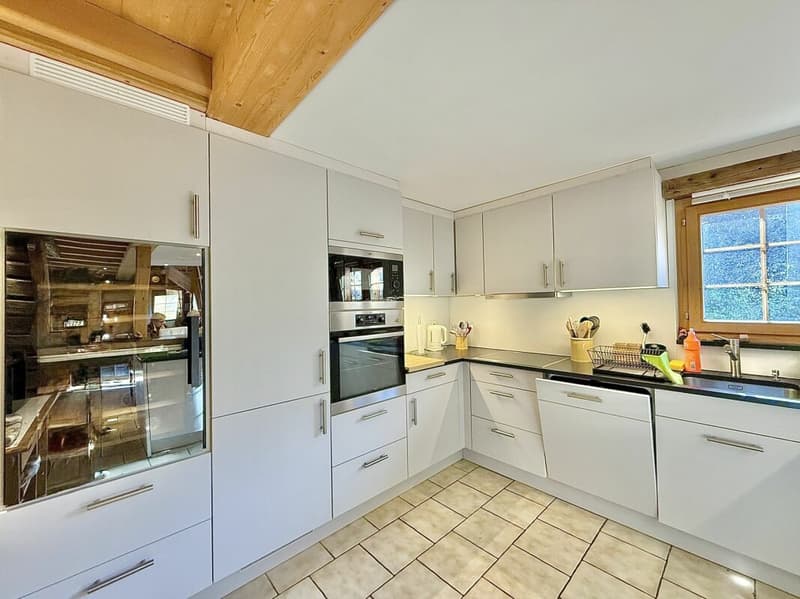 Chalet de 4,5 pièces avec  5245m2 de terrain (21)