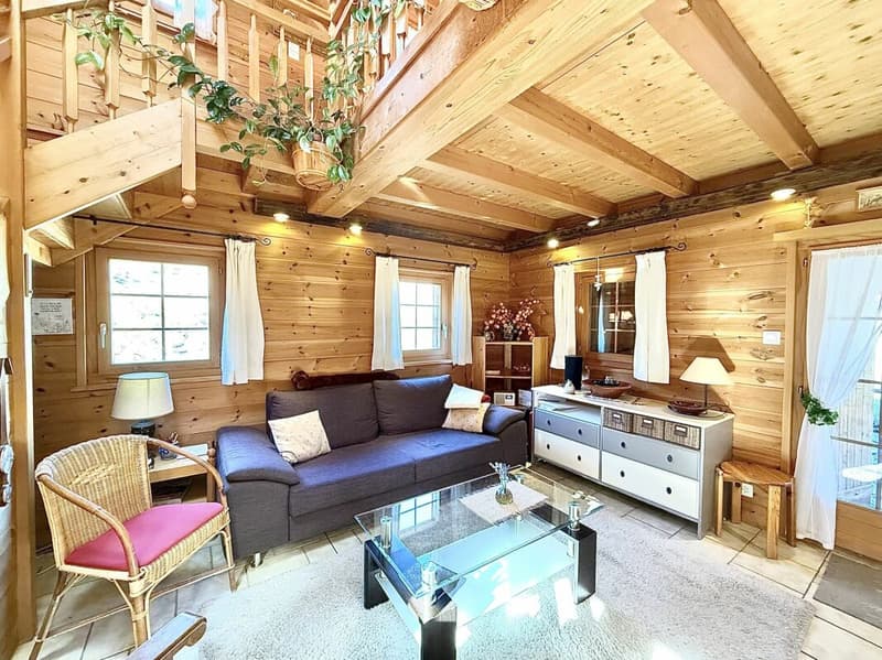 Chalet de 4,5 pièces avec  5245m2 de terrain (4)
