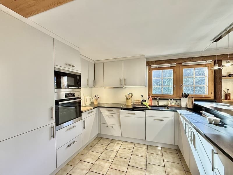 Chalet de 4,5 pièces avec  5245m2 de terrain (9)